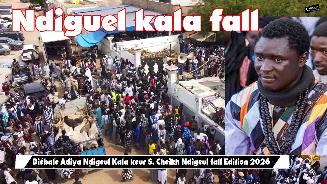 Diébale Adiya Ndigeul Kala Fall le 08 03 2026