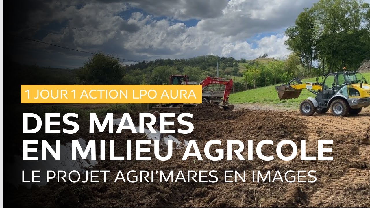 Des mares en milieu agricole #1JOUR1ACTIONLPOAURA