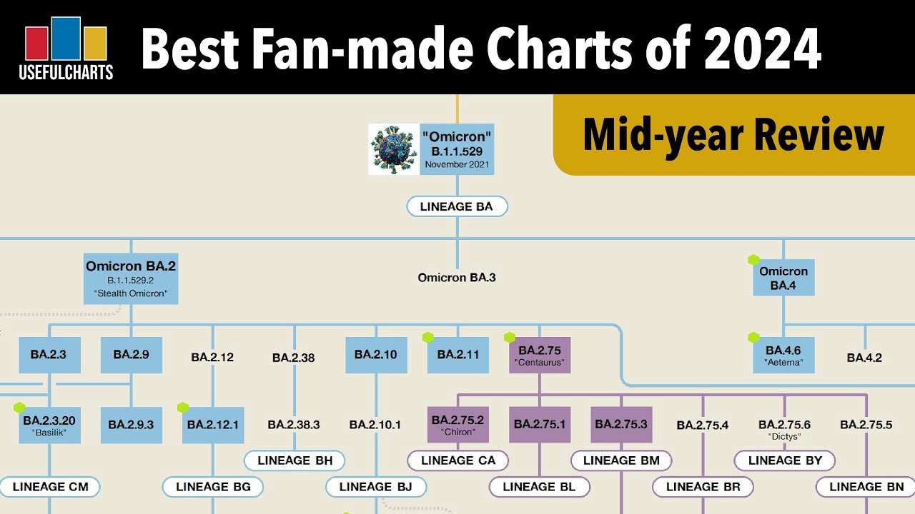 Best Fan-made Charts of 2024 | Mid-year Review