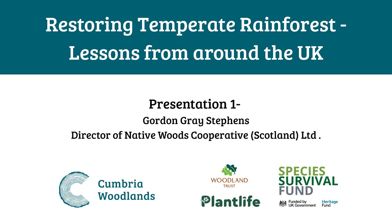 Restoring Scotland's Rainforest