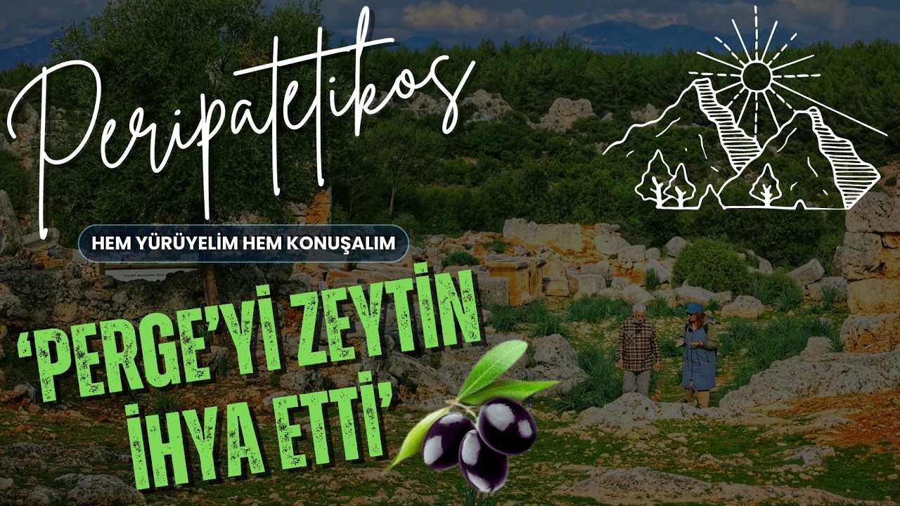 Tales yıldızlarla zeytin üretti, Perge'yi zeytin ihya etti