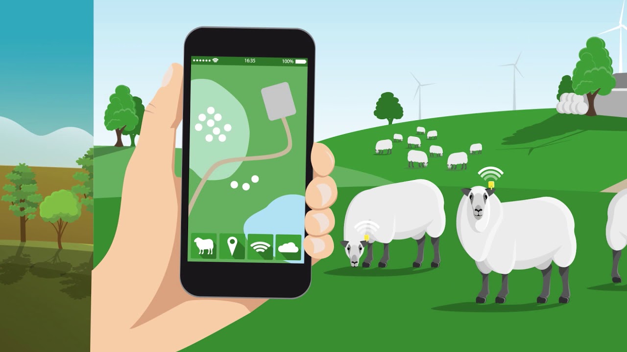 What is IoT and what does it mean for farmers?
