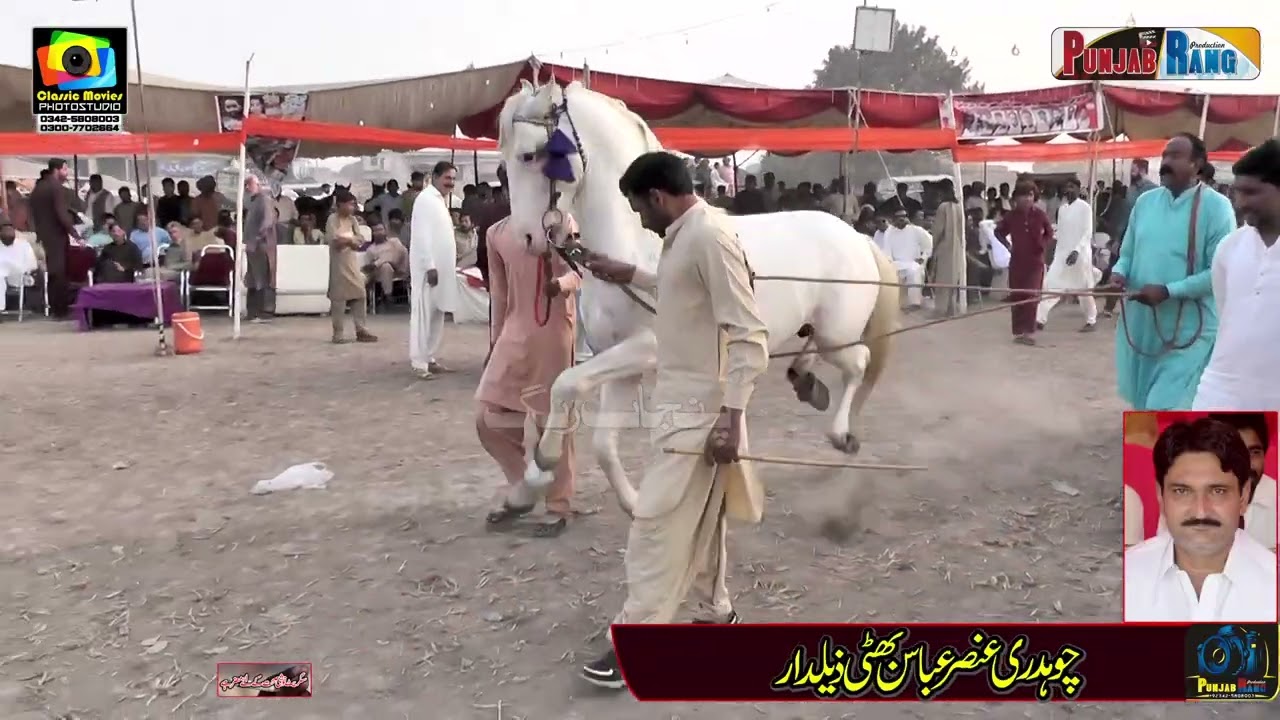 Shaheen Jhalla Vs Ata e Ali Asghar l 8 November 2025 Chak No 739 Moza Jakhar Kamalia l Ch Muhamma