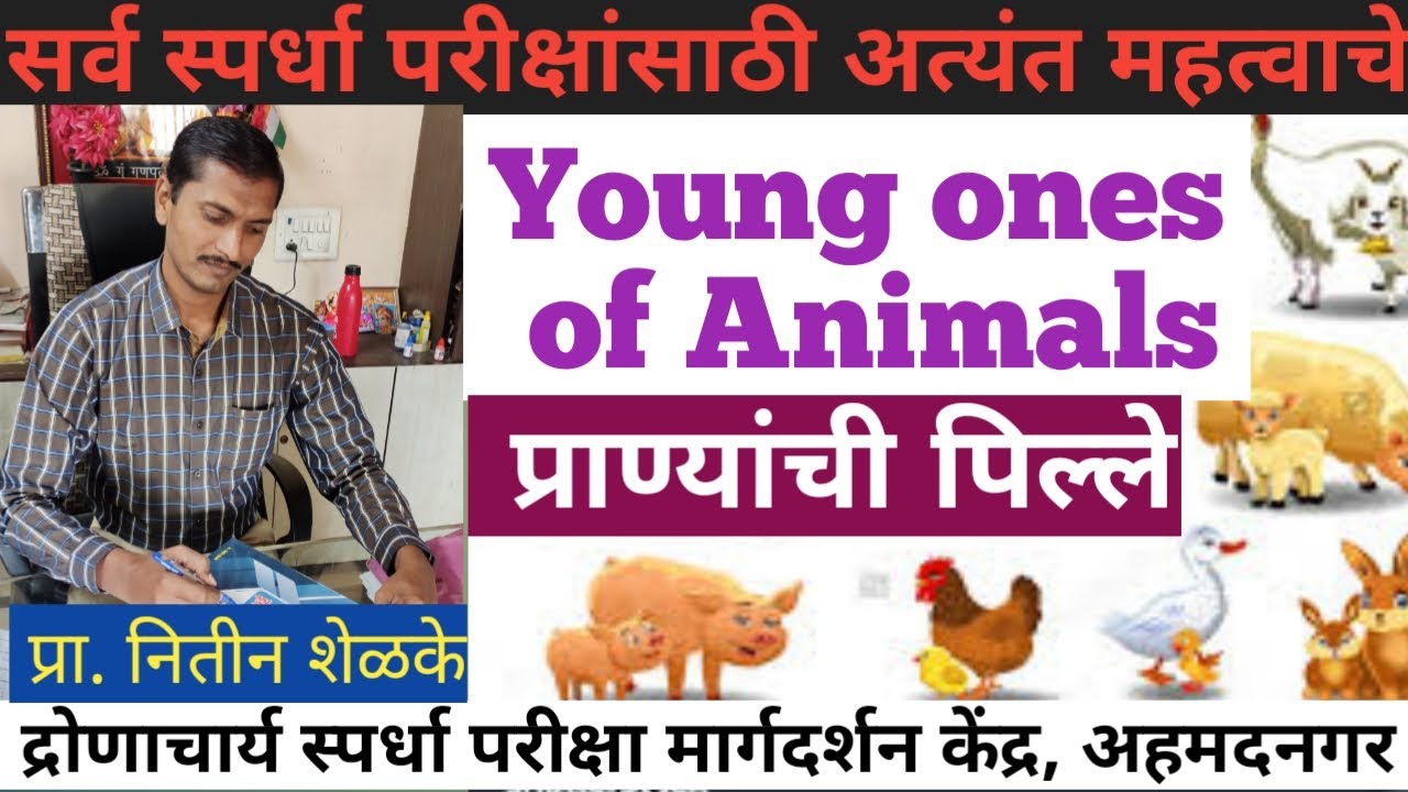 Young Ones of Animals सर्व स्पर्धा परीक्षांसाठी उपयुक्त