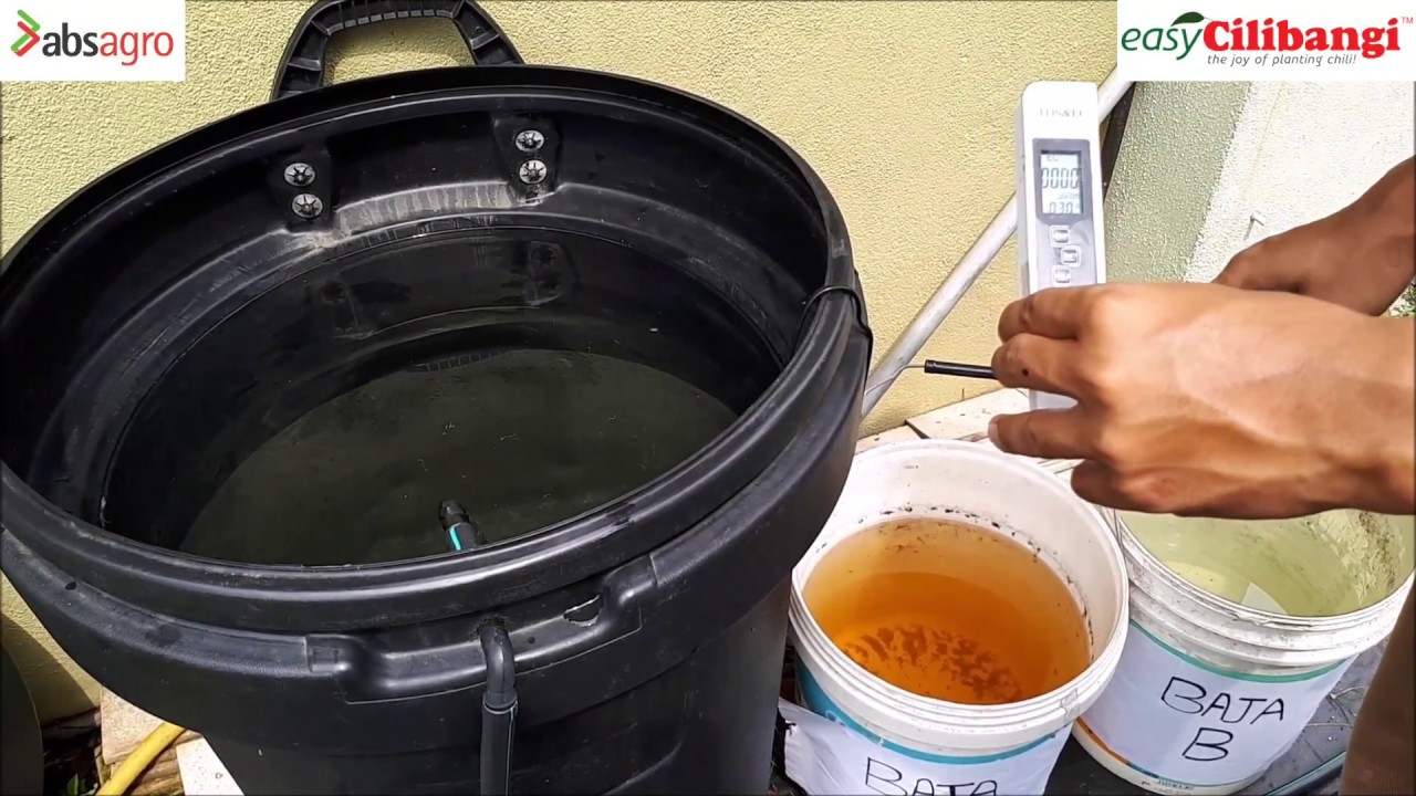 Cara Larutkan Stok Baja AB Ke Dalam Tangki Air Guna EC Meter
