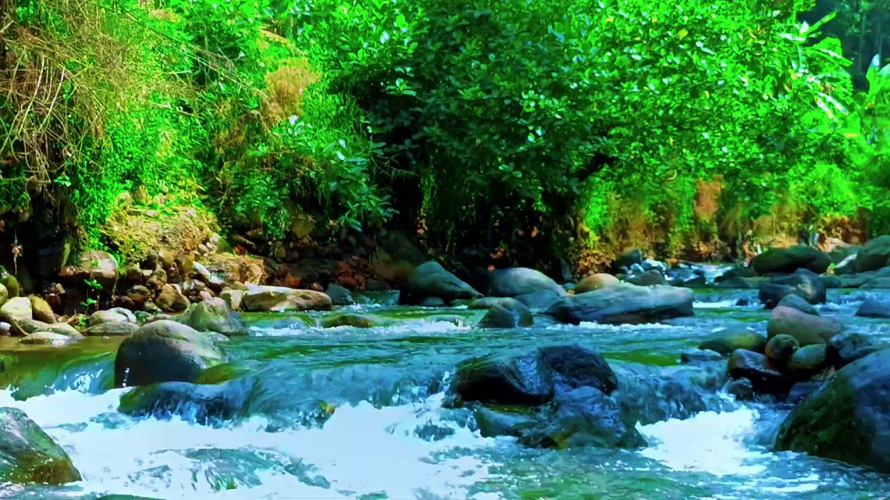 Deep Sleep River Ambience with Gentle Flowing Water and Natural Night Sounds