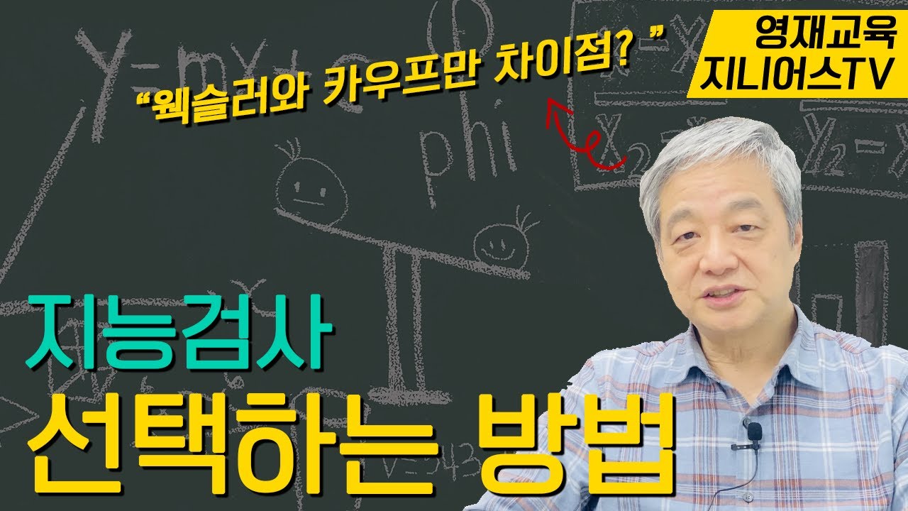 지능검사 툴 | 웩슬러와 카우프만 선택하는 방법