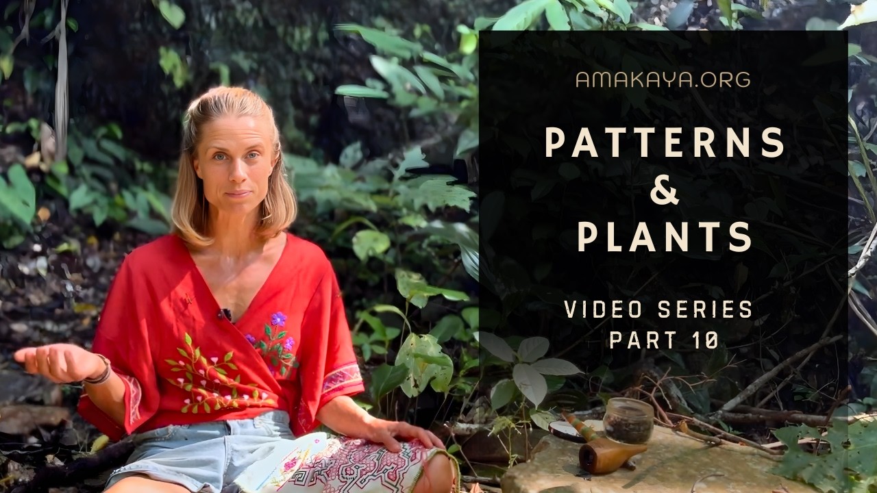 Patterns And Plants: Psychedelic Embroidery In The Amazon (Part 10 of 10)
