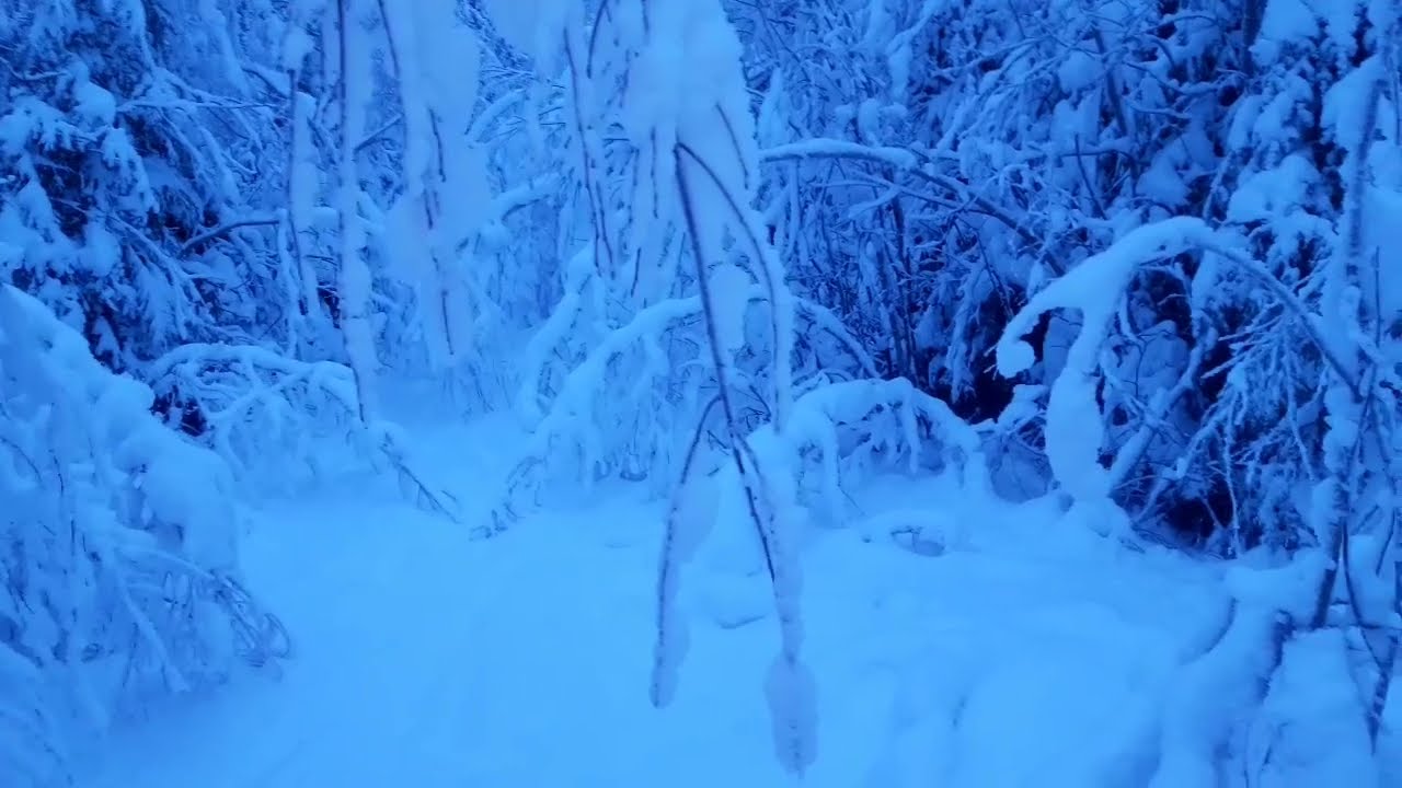 skiing trip