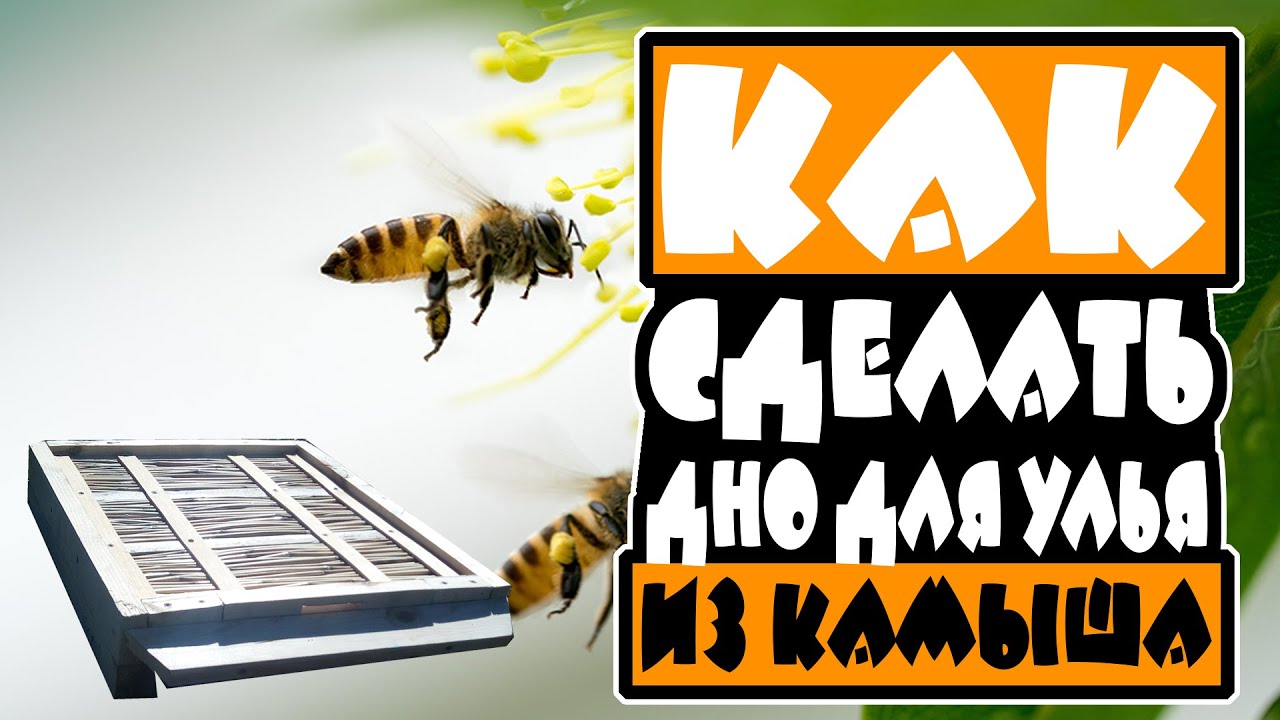 ✅Как сделать дно для улья из камыша