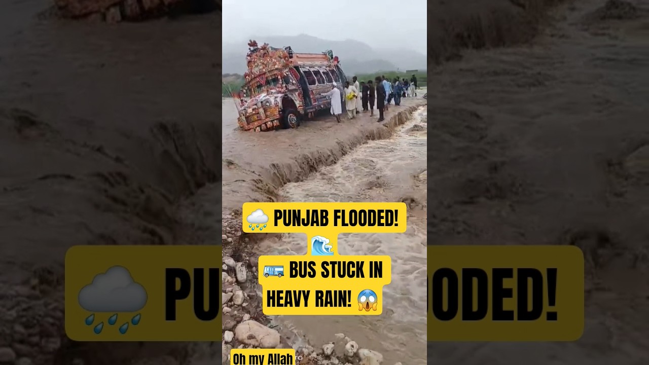 🌧️ Heavy Rain in Punjab! 🚌 Bus Stuck in Flood Water 😱 | Punjab Rain Flood #Shorts