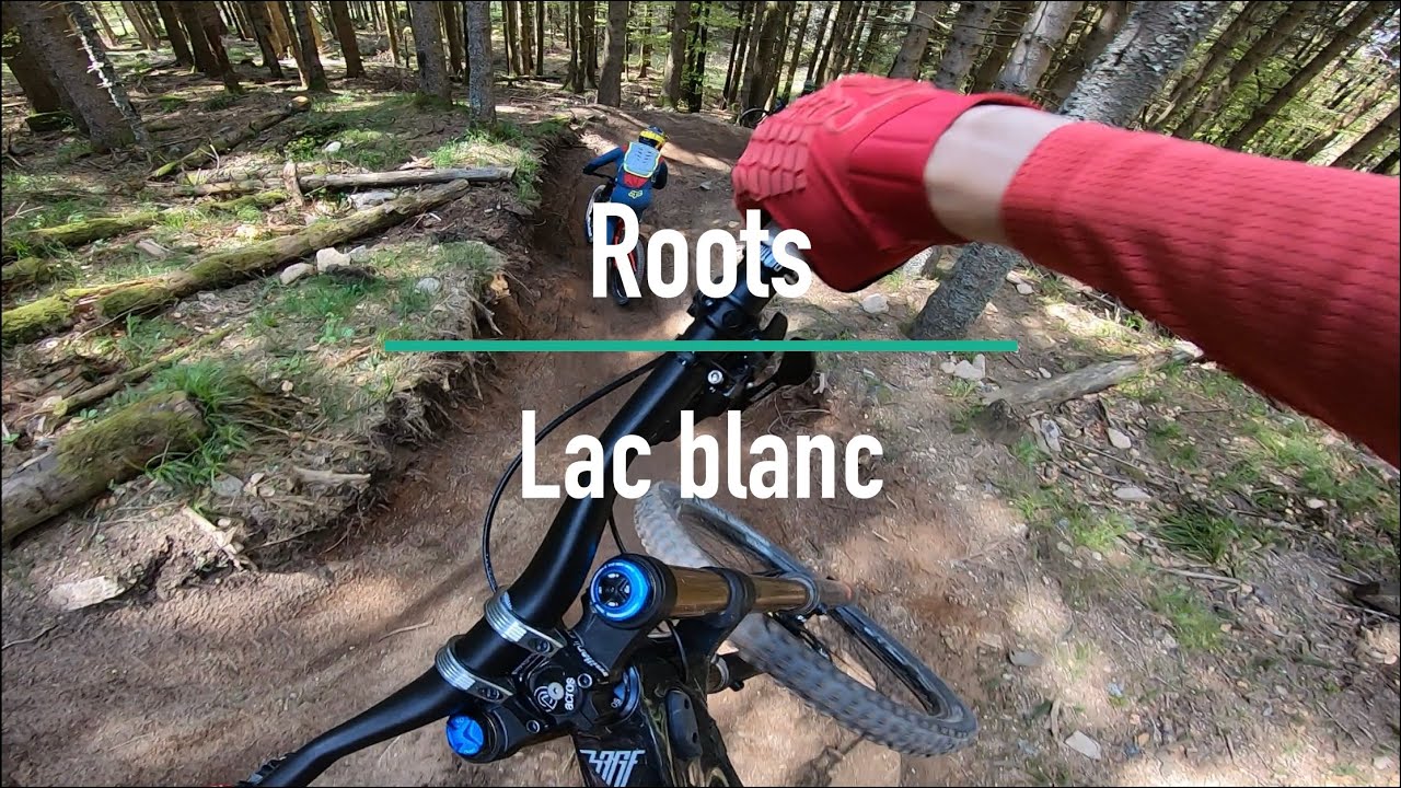 Roots Lac blanc 2022