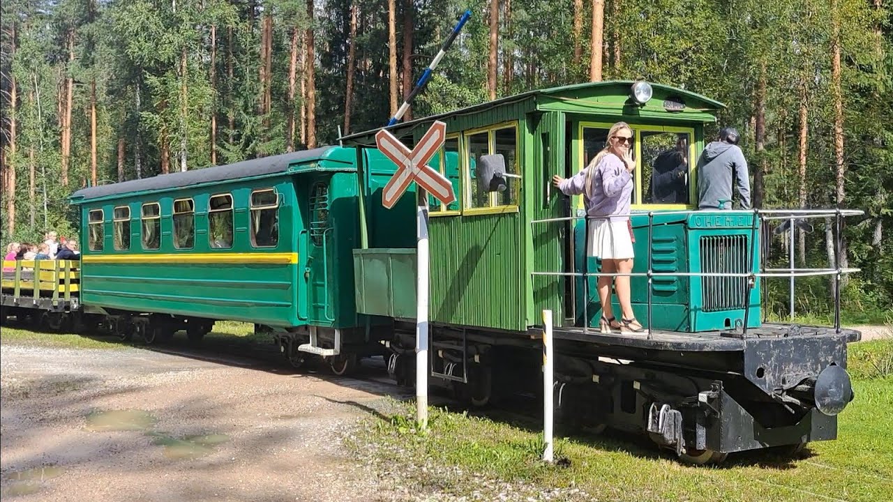 Тепловозик ОНЕЖЕЦ узкоколейка #эстония #trainspotting #railfan #узкоколейка 