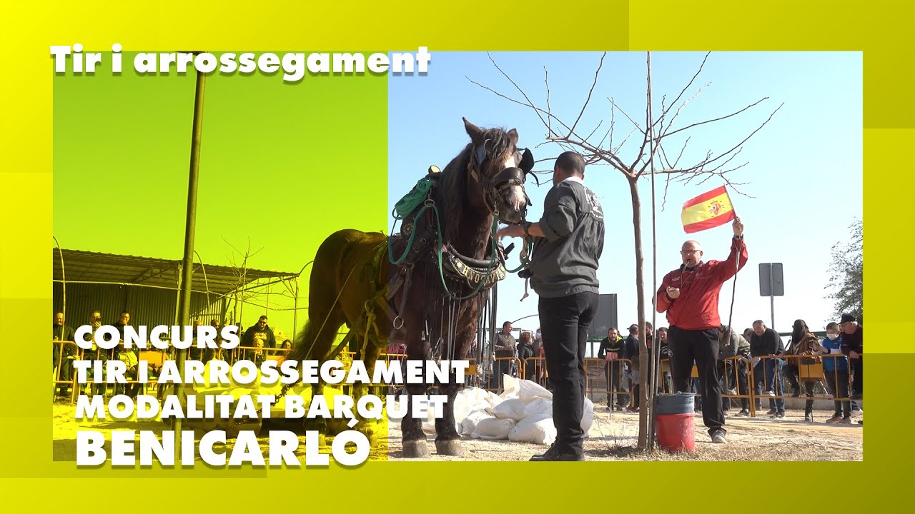 Tir i arrossegament a Benicarló. Modalitat barquet.