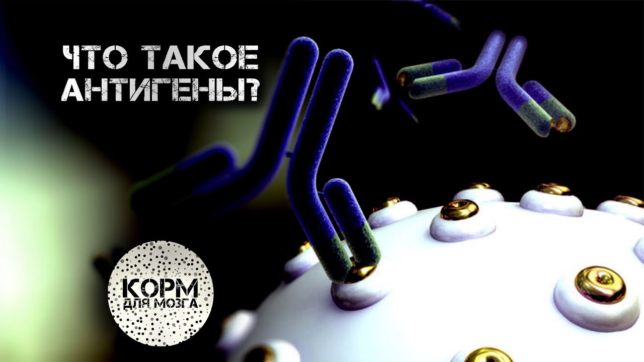 Что такое антигены?