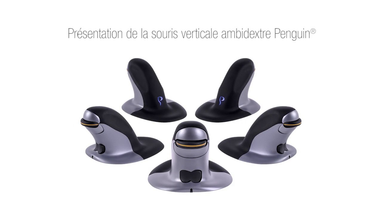 Pr&eacute;sentation de la souris verticale Penguin&reg; Fellowes&reg;