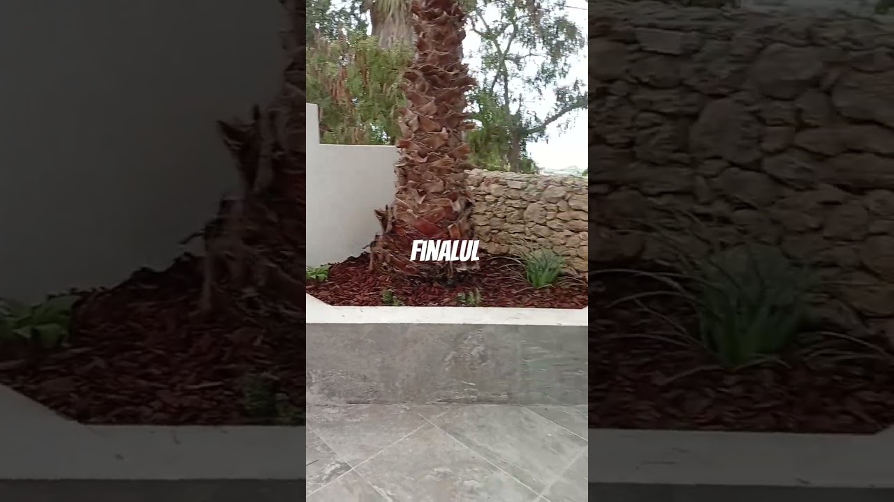 Final de lucrare...