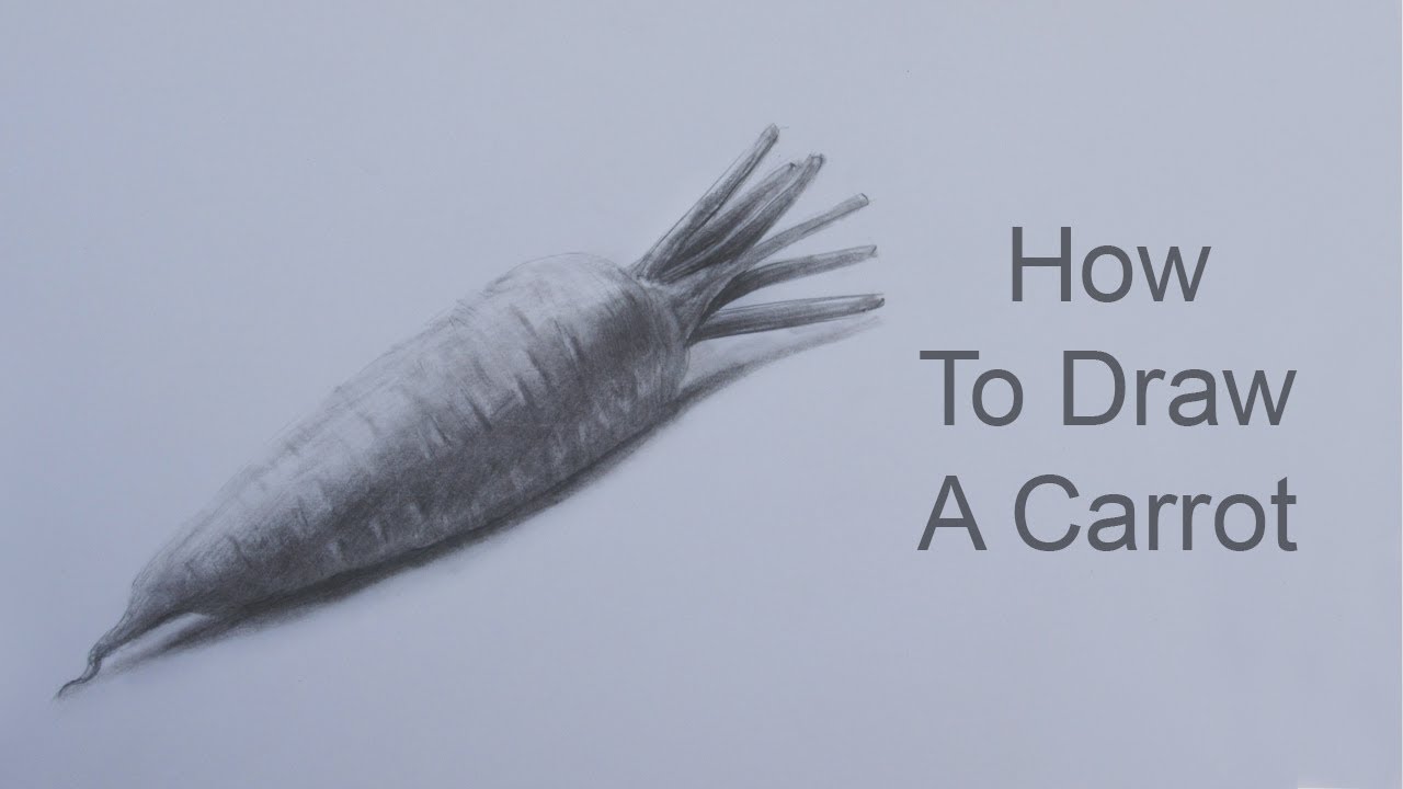 How To Draw A Carrot Step By Step: Pencil Sketch Carrot Drawing