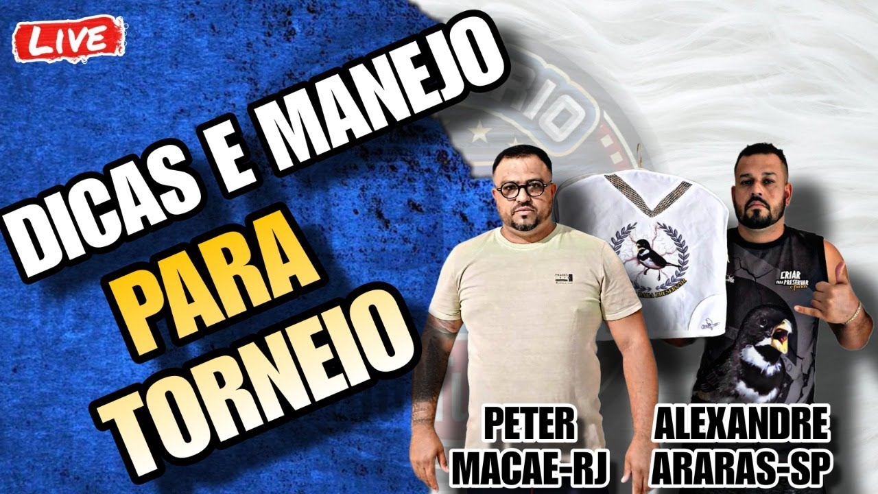 HIST&Oacute;RIAS, DICAS e MANEJOS para coleiro e papacapim de TORNEIO!