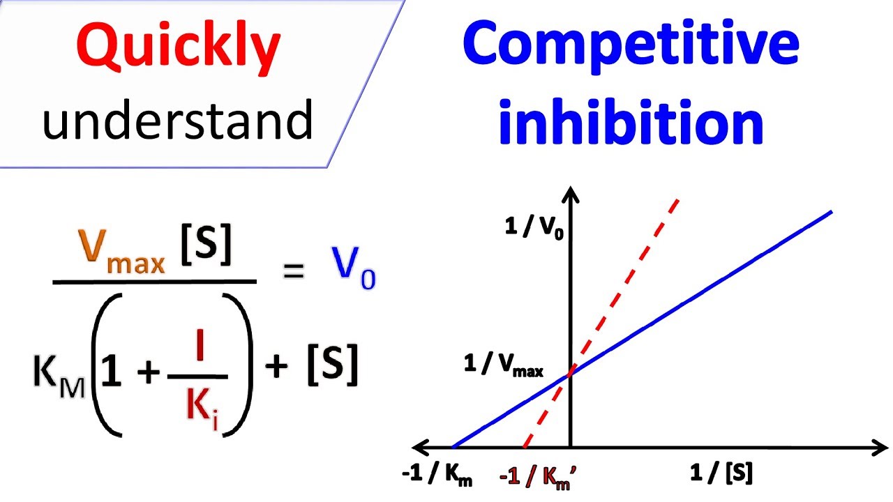 Competitive inhibition