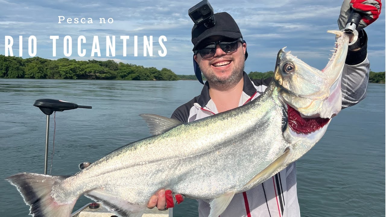 Pesca no Rio Tocantins 2022 - Cachorras, Bicudas, Apapás e Tucunarés