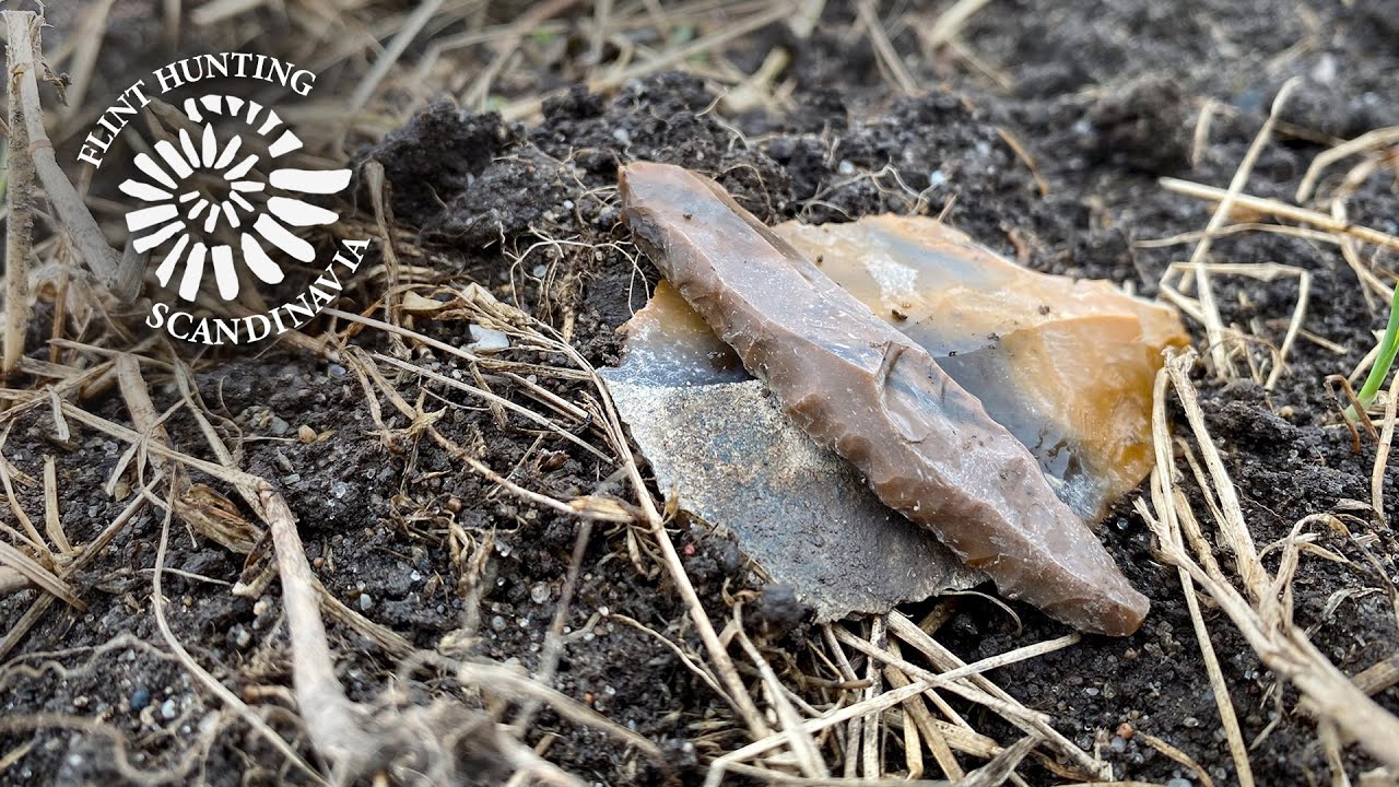 Flint Hunting Scandinavia #99 Find of the year?! 👀