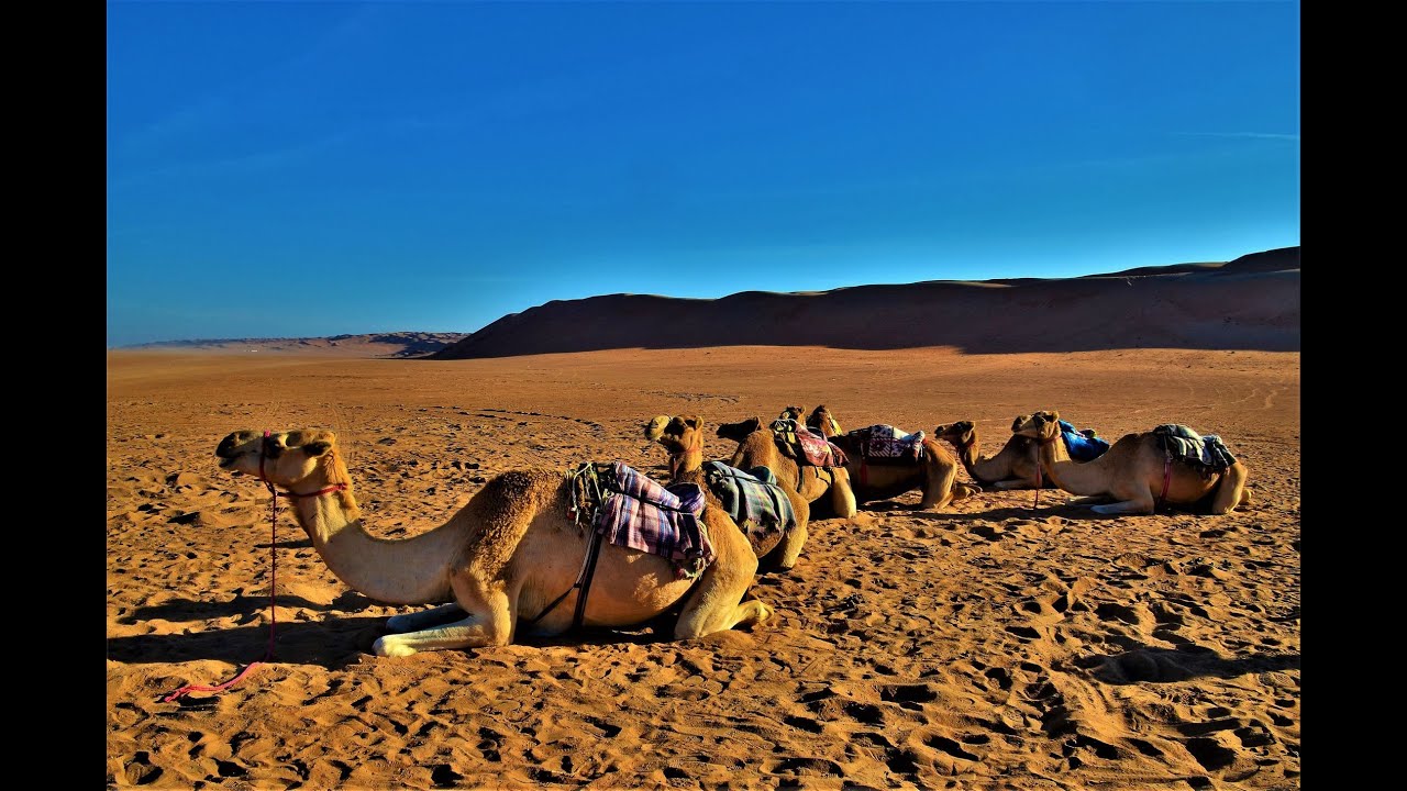 Viaggio in OMAN: Mascate - Jebel Shams - Nizwa - Al Hamra - Rub al Khali - Sur - Wadi Shab - Salalah