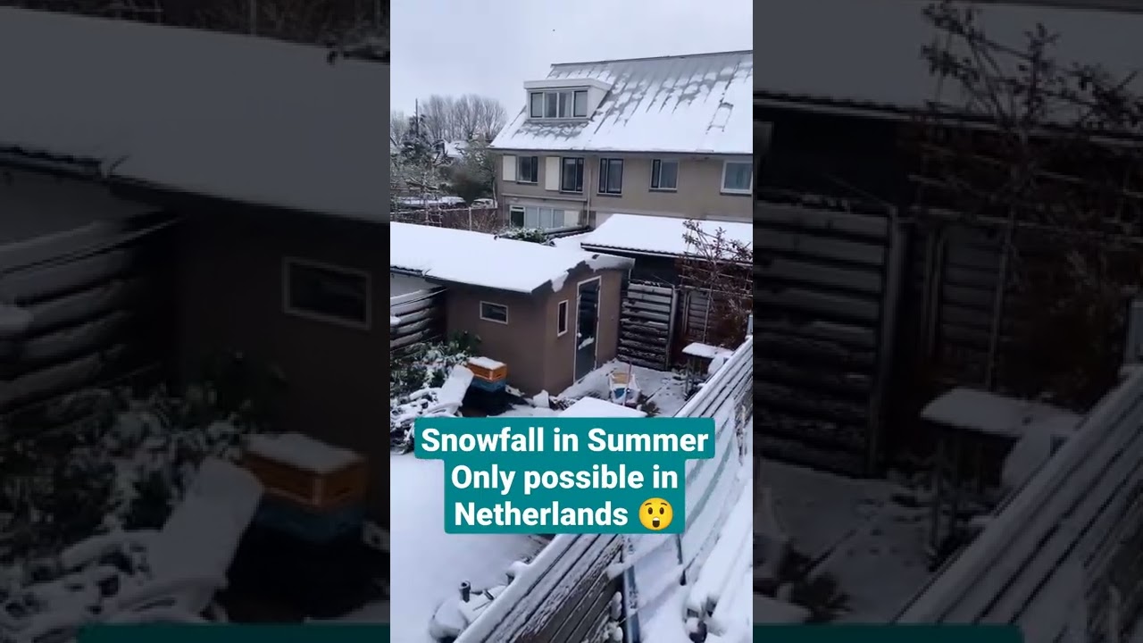 snowfall in summer, only possible in Netherlands 😍#snow #holland #northholland #netherlands #shorts