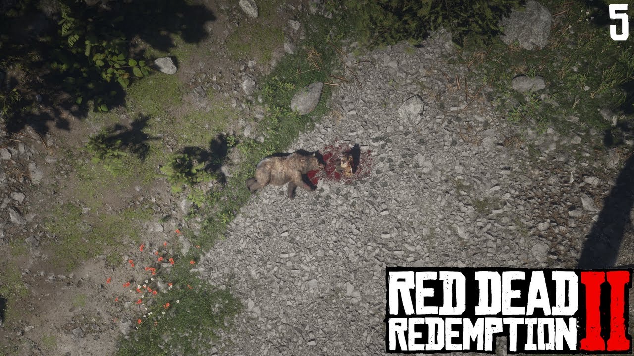 HUNTING A HUGE BEAR!!!  | Red Dead Redemption 2 Play-through #5