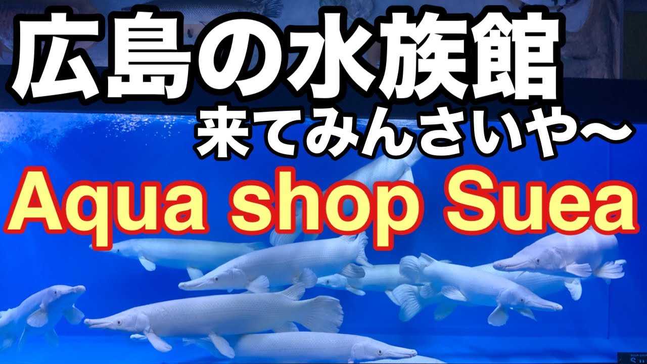 広島遠征！！前から行ってみたかった店に遂に行く事が出来ました。そこには異次元の世界が待っていた。