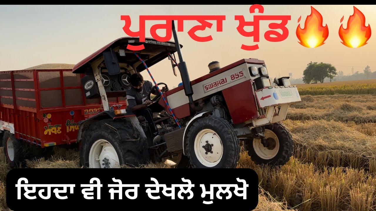 ਪੁਰਾਣਾ ਖੁੰਡ🔥 old model swaraj 855  ਦੇਖੋ ਕਿਵੇਂ ਜੋਰ ਮਾਰਦਾ 🔥🔥💥💥