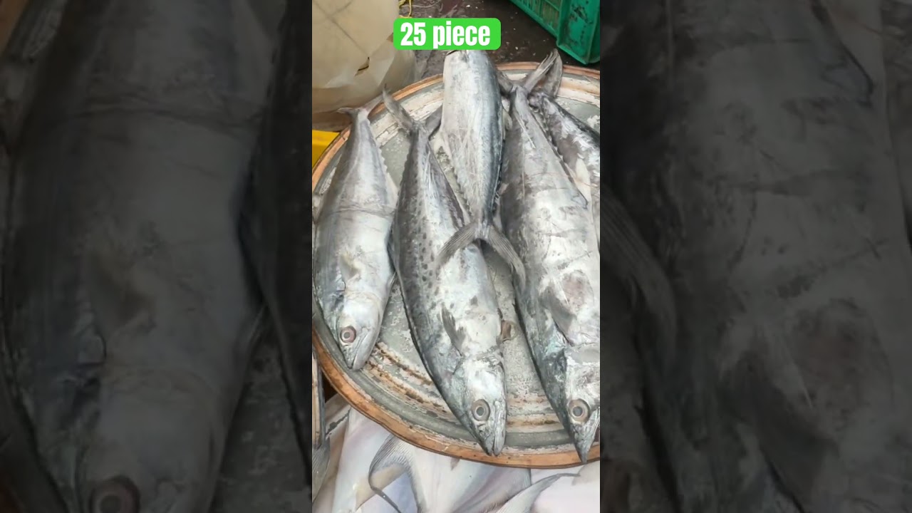 Colaba Fish Market | Mumbai Wholesale Fish Market | Colaba Fish Market |