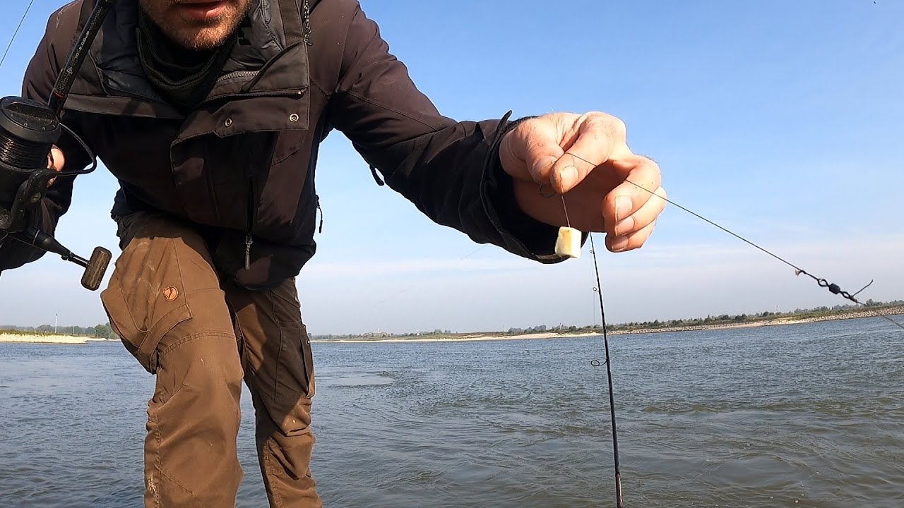Barbelen met kaas