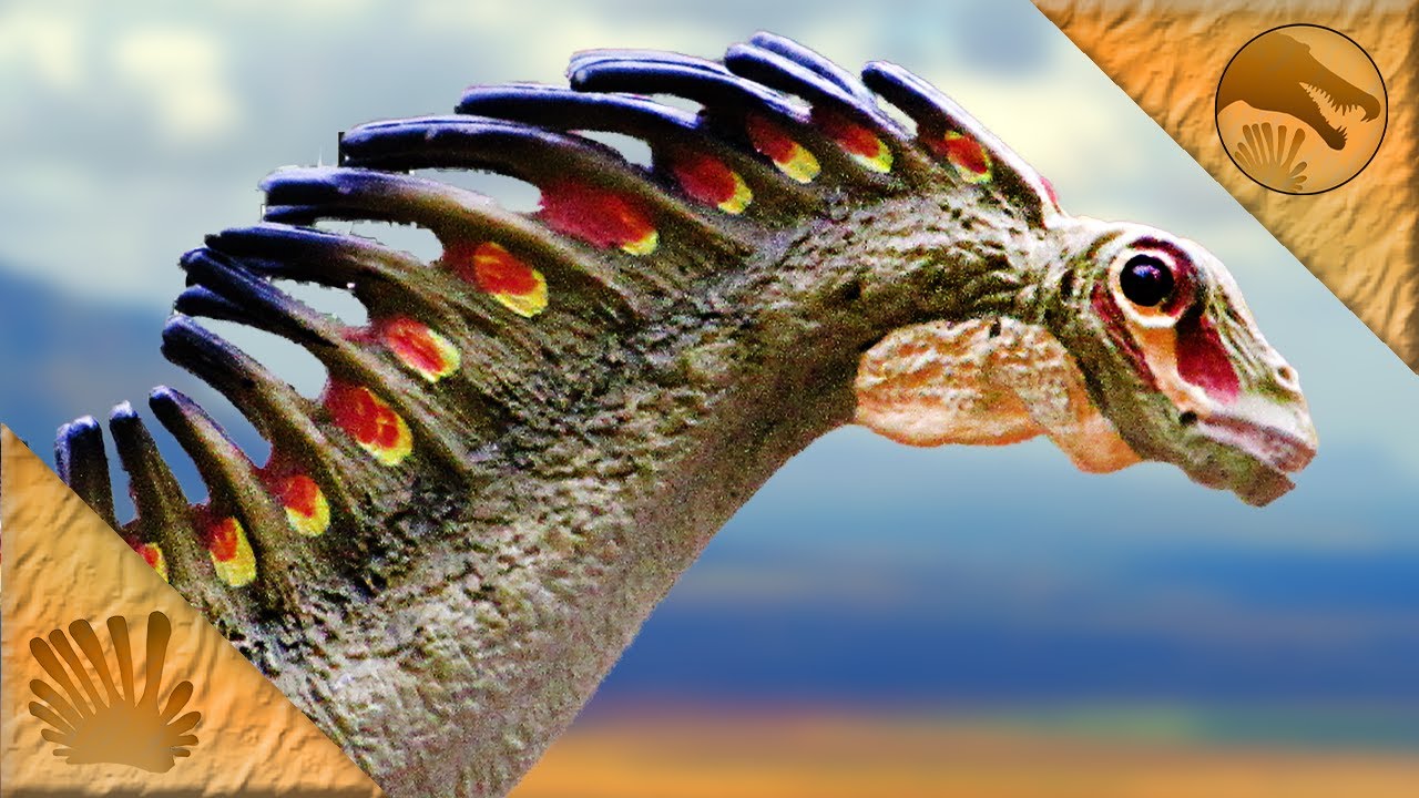 Carnegie Collection 2007 Amargasaurus || An oldie, but a goodie!