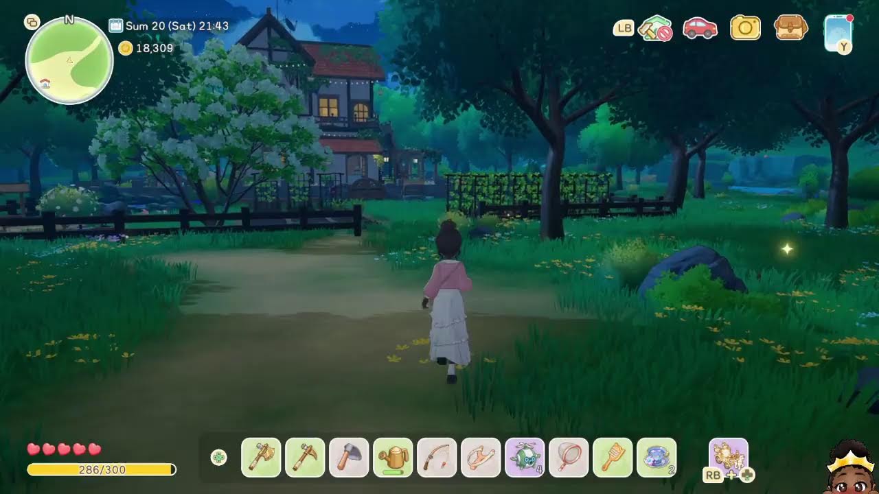 Starsand Island Again!| Starsand Island