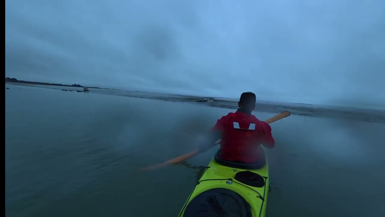Chichester harbour seal hunt.