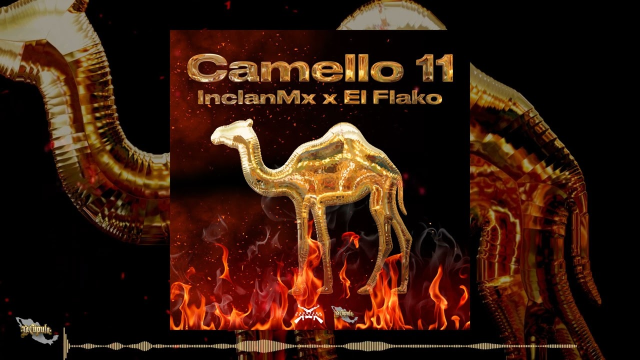 Hijos  Del Golfo Ft  El Flako - Camello 11🐫