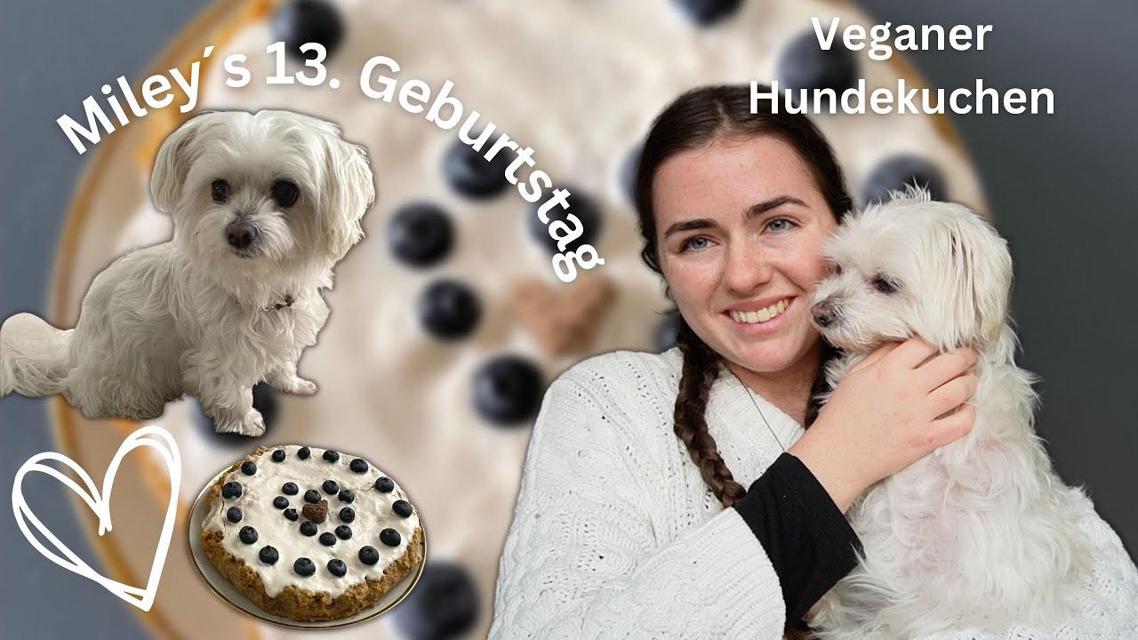 Veganer Hund / Hunde Kuchen backen / Hunde Leckerchen vegan 🧡🐾 Geburtstag