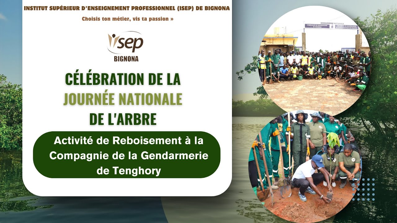 L'ISEP de Bignona a organisé une activité de reboisement à la compagnie de  gendarmerie de Tenghory