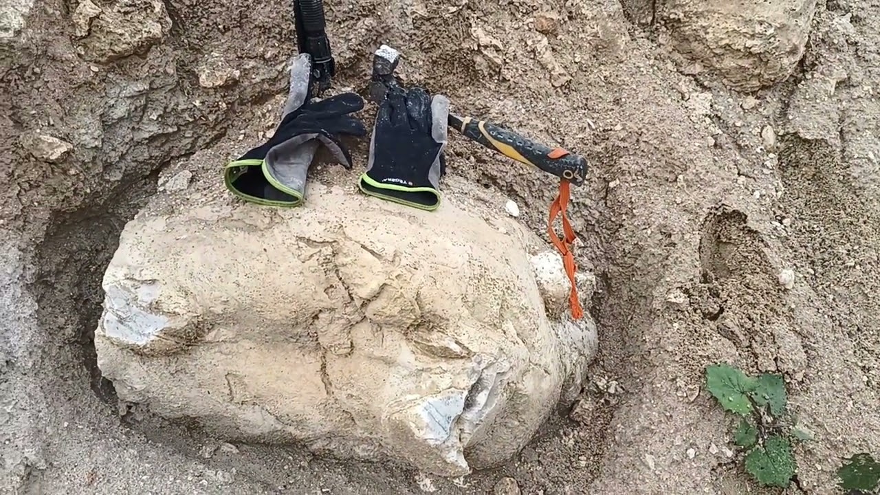 Minerały Polski - w poszukiwaniu krzemienia II. Minerals of Poland - in search of flint II