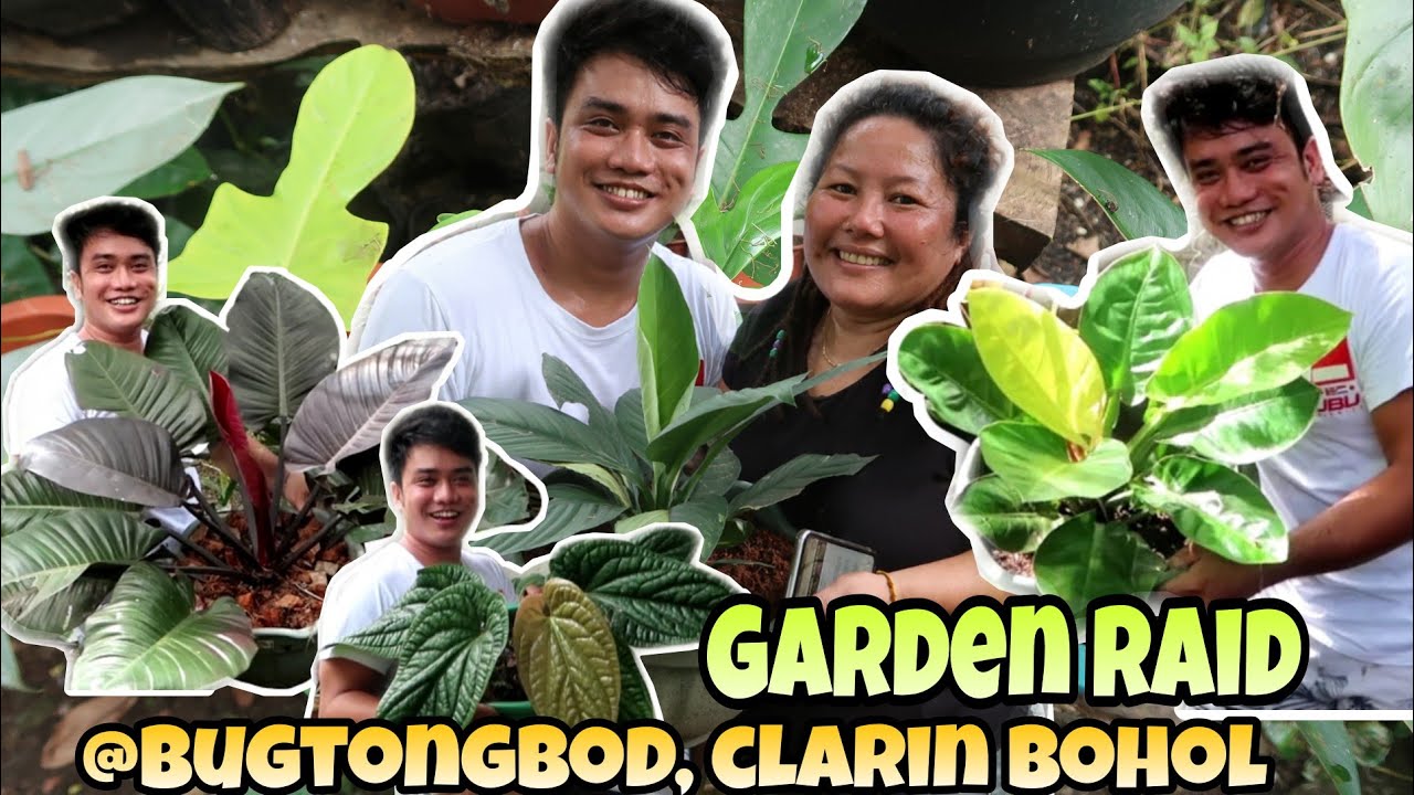 GARDEN VISIT | PLANT HUNTING SA BUGTUNGBOD, CLARIN BOHOL | AMAZING😍😍