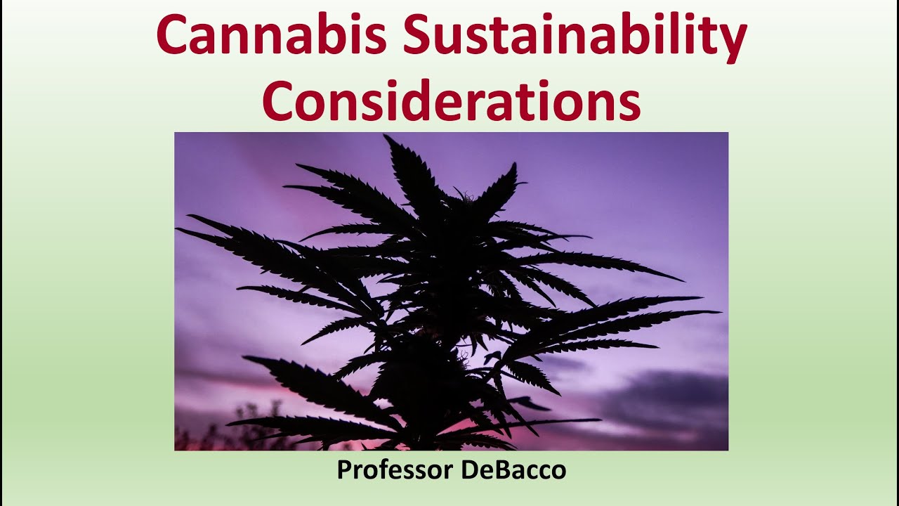 Cannabis Sustainability Considerations