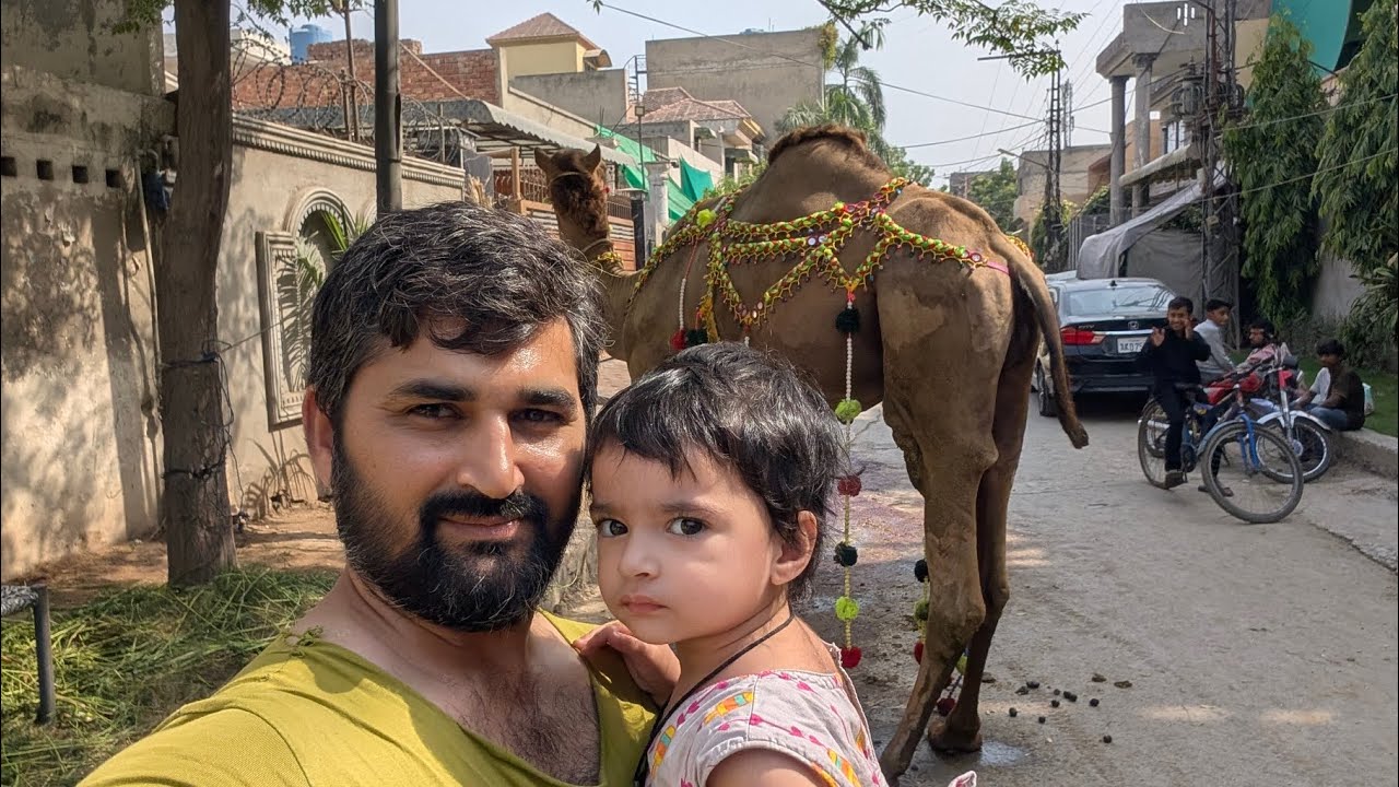 Dumba 🍗🐏or Bakra 🍗🐐khareednay mandi Gai vlog...