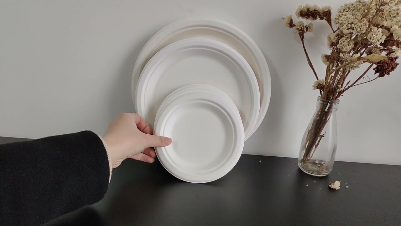 Eco-Friendly Compostable Sugarcane Plates