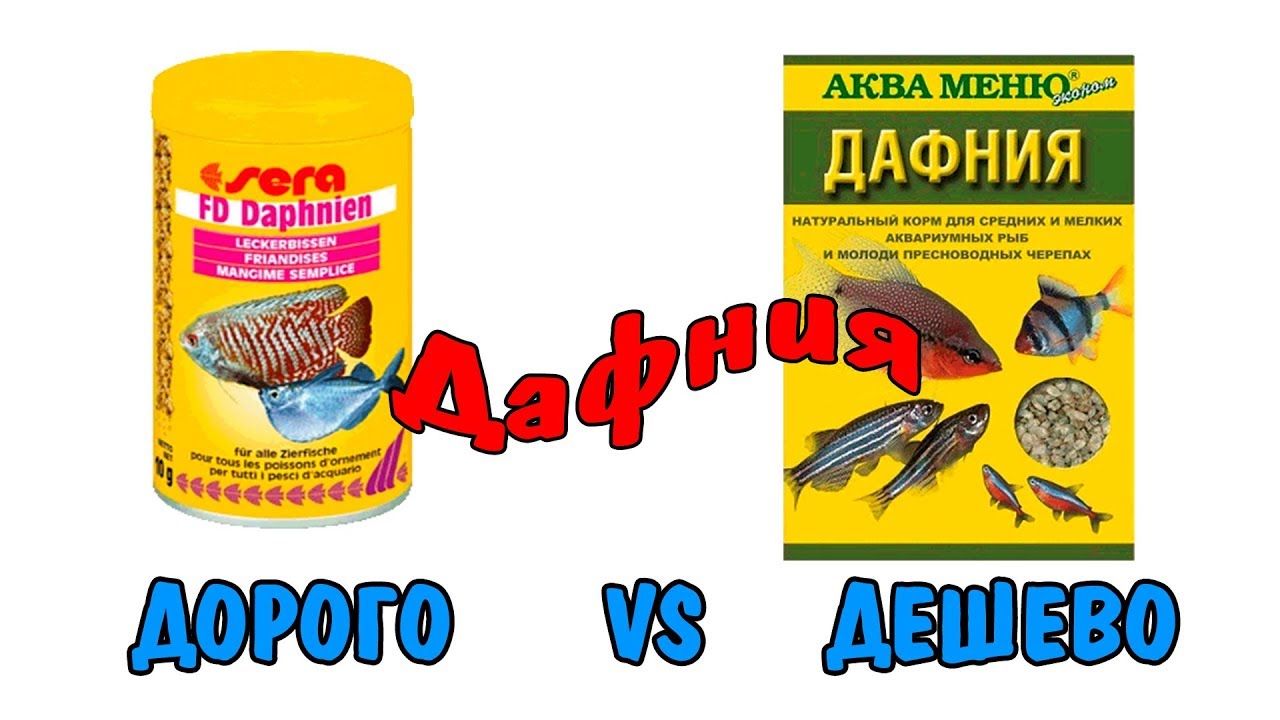 ДОРОГО VS ДЕШЕВО| ДАФНИЯ | СТОИТ ЛИ ПЕРЕПЛАЧИВАТЬ? | SERA VS АкваМеню