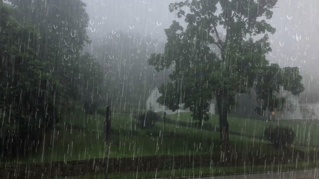 Barrulho de Chuva para Dormir Profundamente + R&aacute;pido - Som de Chuva Forte e Trov&atilde;o #56 ASMR Relax