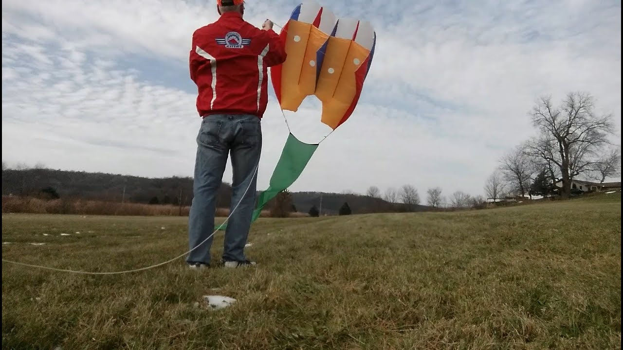 Sutton Flow Form 30 and Stratoscoop 1 Kites
