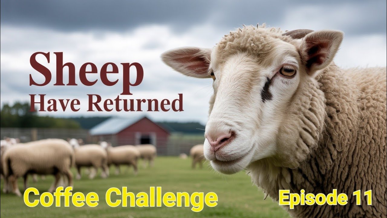 Coffee challenge/Ep11/Sheep have Returned!/Fs25