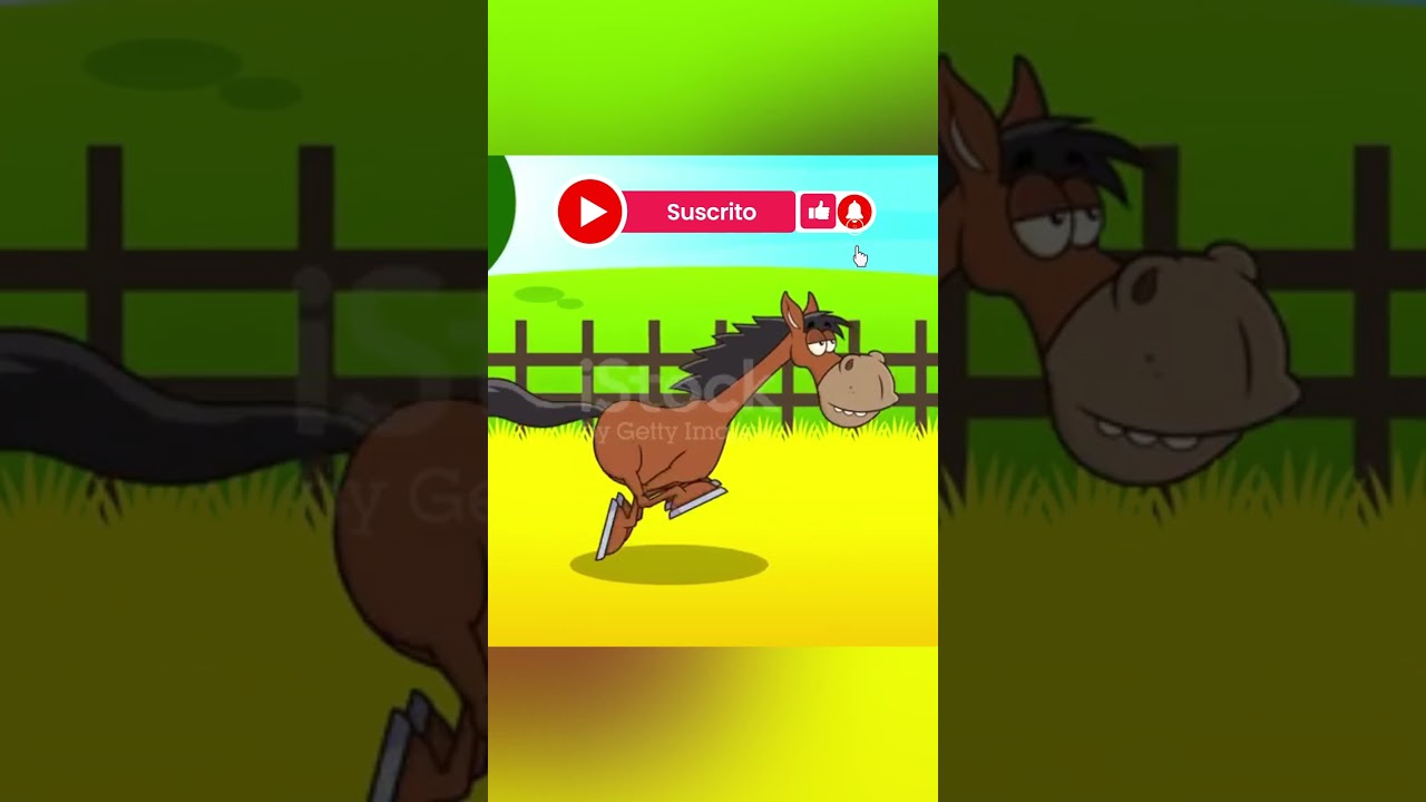 AL GALOPE #caballos #horse #pets #algalope #galopar