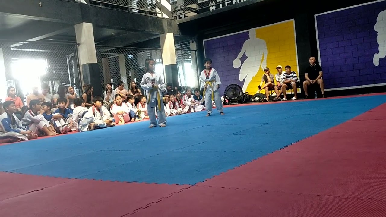 Yellow belt promotion test